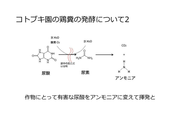 コトブキ園の鶏糞堆肥の発酵2