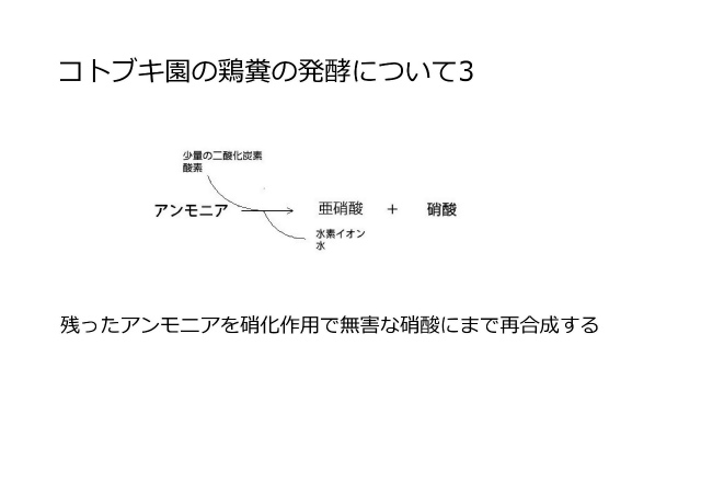 コトブキ園の鶏糞堆肥の発酵3