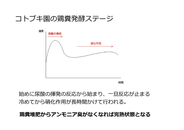 コトブキ園の鶏糞堆肥の発酵5